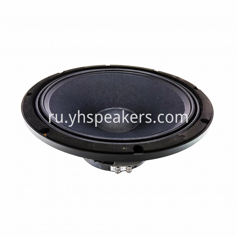 Indoor/outdoor 15 inch speaker for entertainment